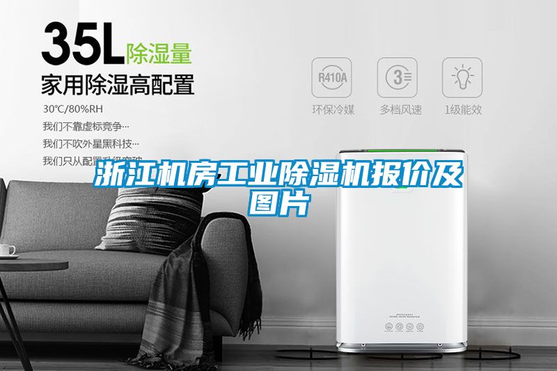 浙江機房工業(yè)除濕機報價及圖片
