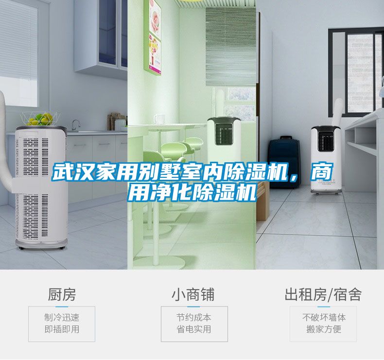 武漢家用別墅室內(nèi)除濕機(jī)，商用凈化除濕機(jī)