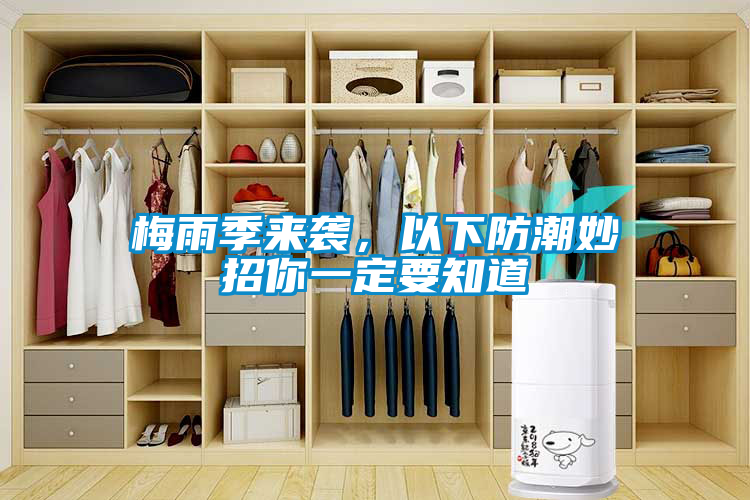 梅雨季來襲，以下防潮妙招你一定要知道
