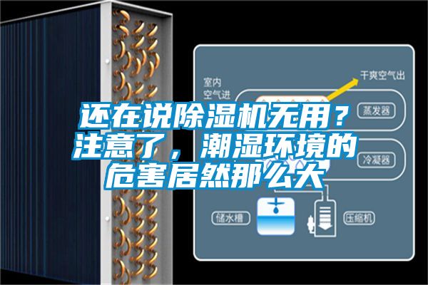 還在說除濕機(jī)無用？注意了，潮濕環(huán)境的危害居然那么大