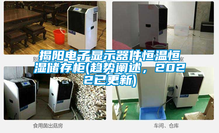 揭陽電子顯示器件恒溫恒濕儲存柜(趨勢闡述，2022已更新)