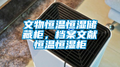文物恒溫恒濕儲藏柜，檔案文獻(xiàn)恒溫恒濕柜