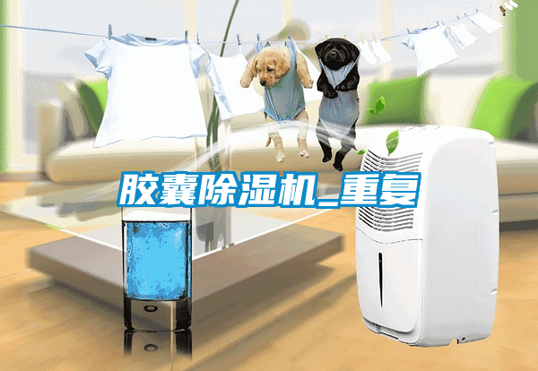 膠囊除濕機(jī)_重復(fù)
