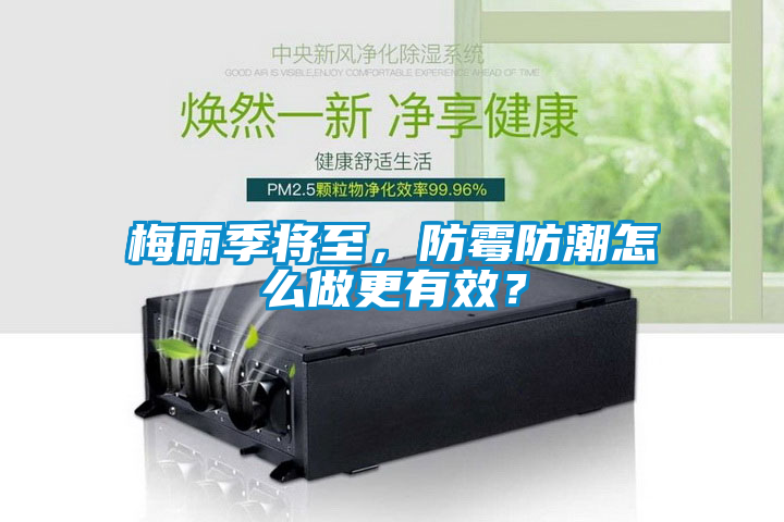 梅雨季將至，防霉防潮怎么做更有效？