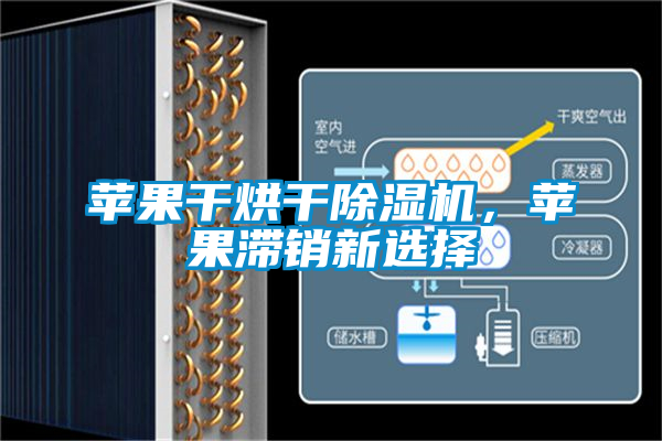蘋果干烘干除濕機(jī)，蘋果滯銷新選擇