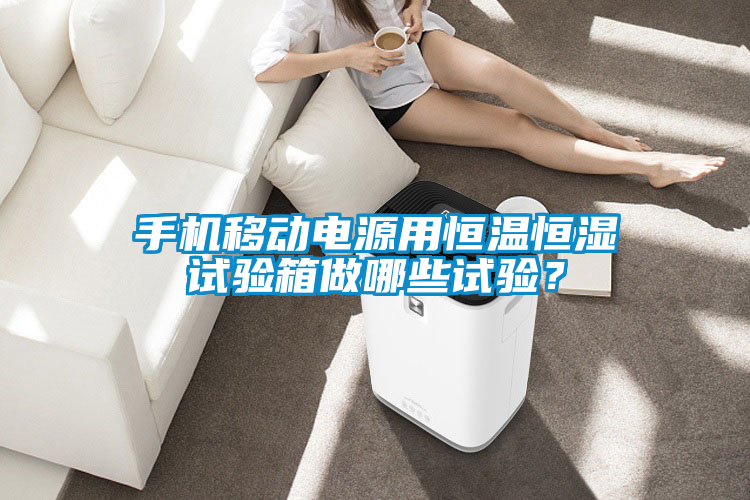 手機(jī)移動電源用恒溫恒濕試驗(yàn)箱做哪些試驗(yàn)？
