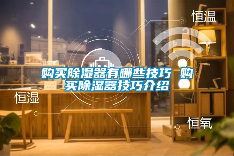 購(gòu)買(mǎi)除濕器有哪些技巧 購(gòu)買(mǎi)除濕器技巧介紹