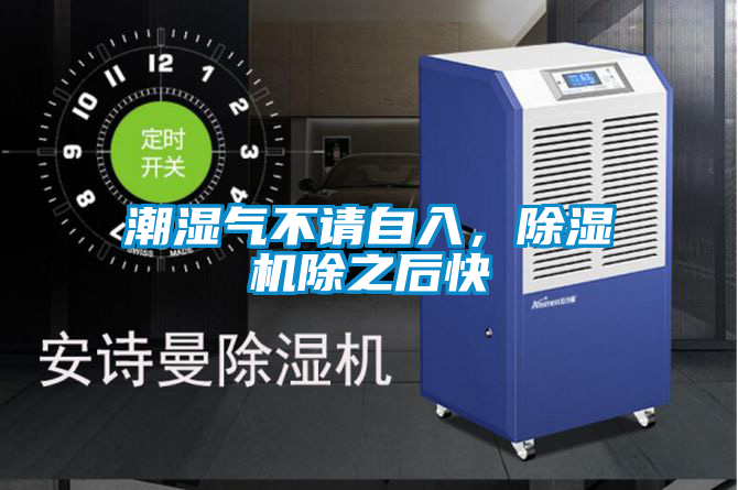 潮濕氣不請自入，除濕機除之后快