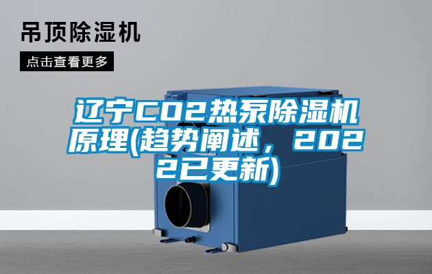 遼寧CO2熱泵除濕機(jī)原理(趨勢(shì)闡述，2022已更新)
