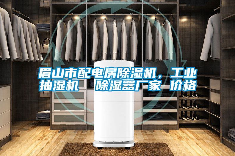 眉山市配電房除濕機(jī)，工業(yè)抽濕機(jī)  除濕器廠家 價(jià)格