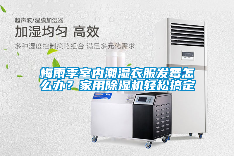 梅雨季室內(nèi)潮濕衣服發(fā)霉怎么辦？家用除濕機(jī)輕松搞定
