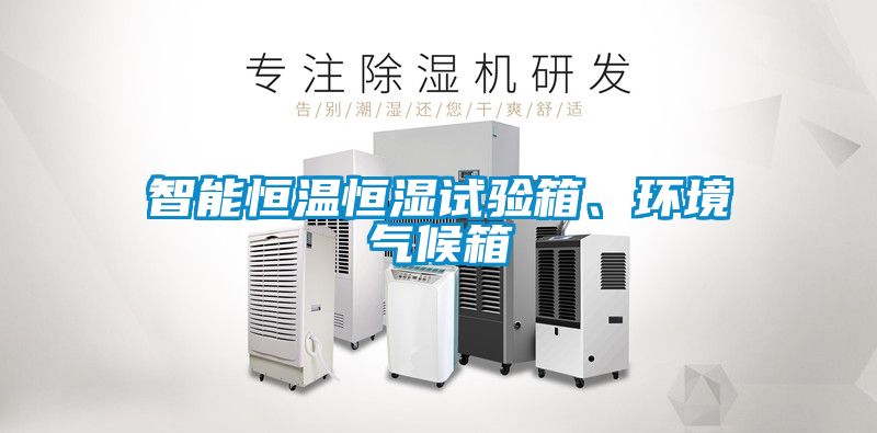 智能恒溫恒濕試驗(yàn)箱、環(huán)境氣候箱