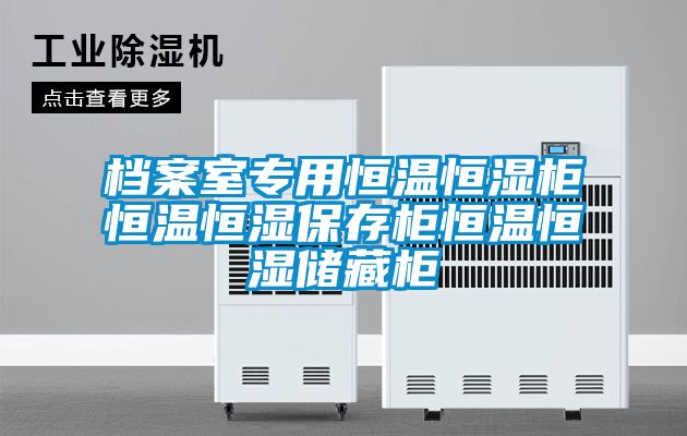 檔案室專用恒溫恒濕柜恒溫恒濕保存柜恒溫恒濕儲(chǔ)藏柜