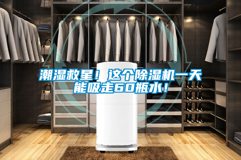 潮濕救星！這個(gè)除濕機(jī)一天能吸走60瓶水！