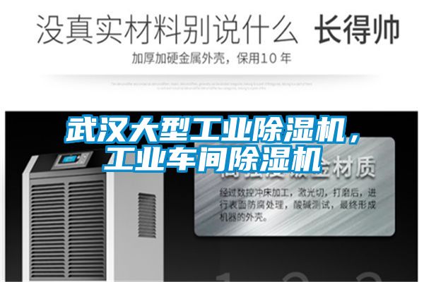 武漢大型工業(yè)除濕機(jī)，工業(yè)車間除濕機(jī)
