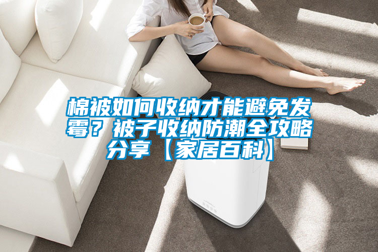 棉被如何收納才能避免發(fā)霉？被子收納防潮全攻略分享【家居百科】