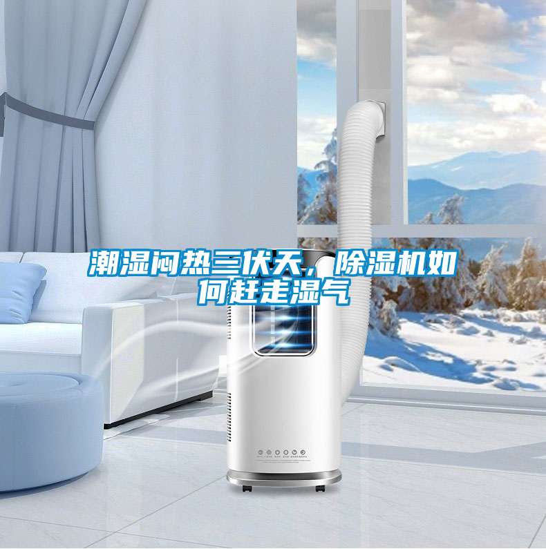 潮濕悶熱三伏天，除濕機(jī)如何趕走濕氣