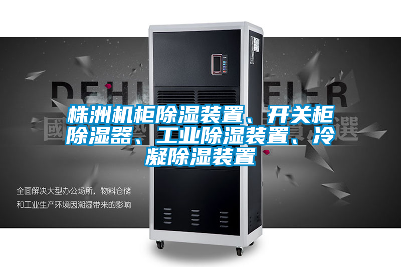 株洲機(jī)柜除濕裝置、開關(guān)柜除濕器、工業(yè)除濕裝置、冷凝除濕裝置