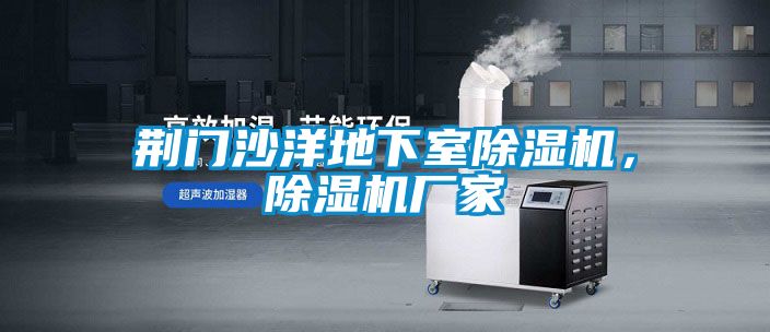 荊門沙洋地下室除濕機(jī)，除濕機(jī)廠家