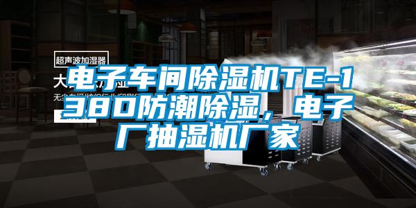 電子車間除濕機TE-138D防潮除濕，電子廠抽濕機廠家