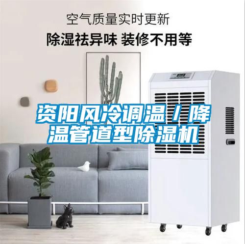 資陽(yáng)風(fēng)冷調(diào)溫／降溫管道型除濕機(jī)