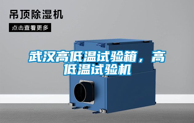 武漢高低溫試驗(yàn)箱，高低溫試驗(yàn)機(jī)