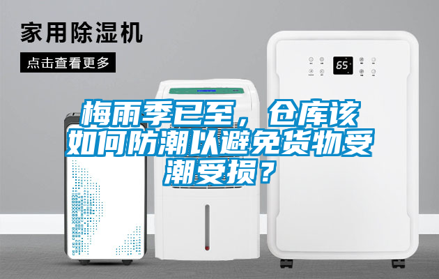 梅雨季已至，倉庫該如何防潮以避免貨物受潮受損？