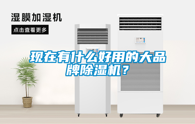 現(xiàn)在有什么好用的大品牌除濕機？