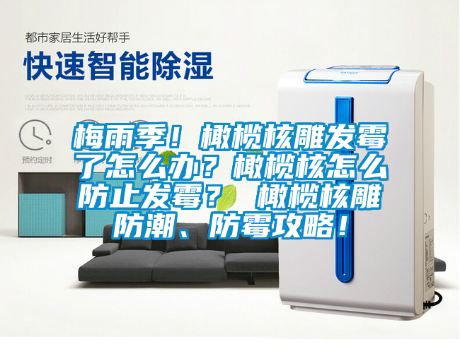 梅雨季！橄欖核雕發(fā)霉了怎么辦？橄欖核怎么防止發(fā)霉？ 橄欖核雕防潮、防霉攻略！