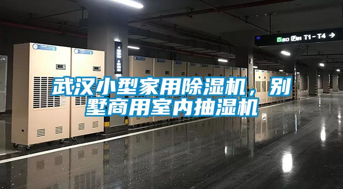 武漢小型家用除濕機，別墅商用室內(nèi)抽濕機
