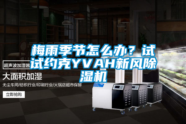 梅雨季節(jié)怎么辦？試試約克YVAH新風(fēng)除濕機(jī)