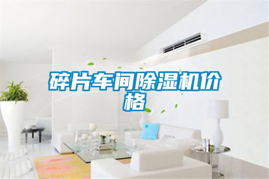 碎片車間除濕機價格