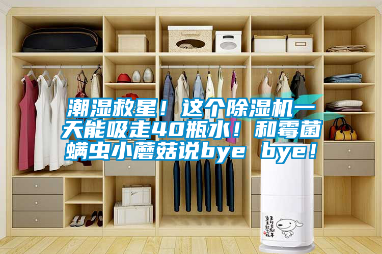 潮濕救星！這個除濕機一天能吸走40瓶水！和霉菌螨蟲小蘑菇說bye bye！