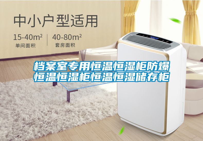 檔案室專用恒溫恒濕柜防爆恒溫恒濕柜恒溫恒濕儲(chǔ)存柜