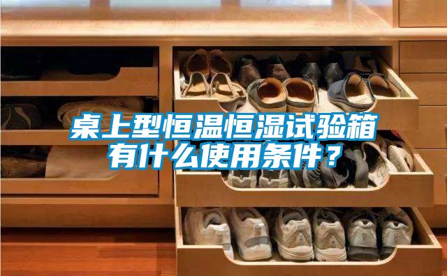 桌上型恒溫恒濕試驗(yàn)箱有什么使用條件？