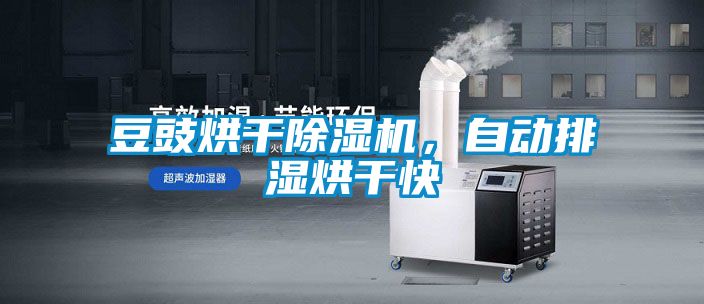 豆豉烘干除濕機(jī)，自動(dòng)排濕烘干快