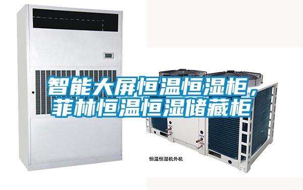 智能大屏恒溫恒濕柜，菲林恒溫恒濕儲(chǔ)藏柜