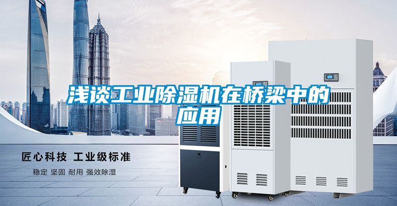 淺談工業(yè)除濕機在橋梁中的應用
