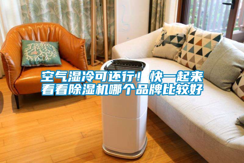 空氣濕冷可還行！快一起來看看除濕機(jī)哪個(gè)品牌比較好