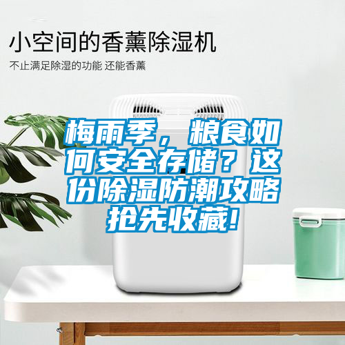 梅雨季，糧食如何安全存儲？這份除濕防潮攻略搶先收藏!