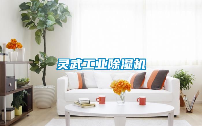 靈武工業(yè)除濕機(jī)