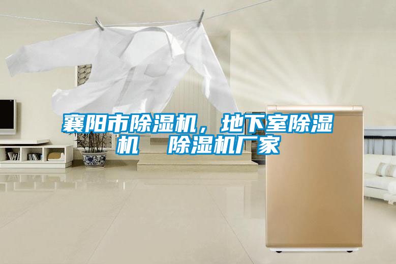襄陽(yáng)市除濕機(jī)，地下室除濕機(jī)  除濕機(jī)廠家