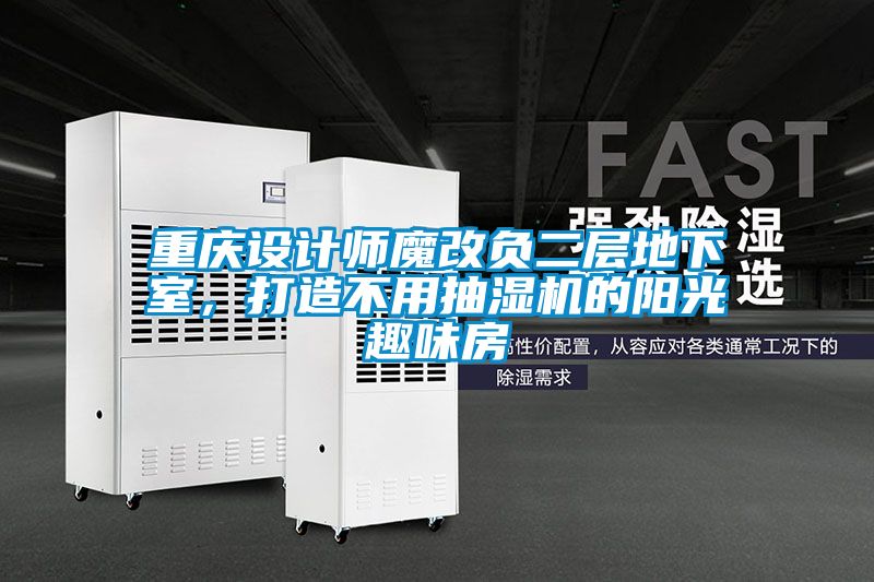 重慶設(shè)計(jì)師魔改負(fù)二層地下室，打造不用抽濕機(jī)的陽光趣味房