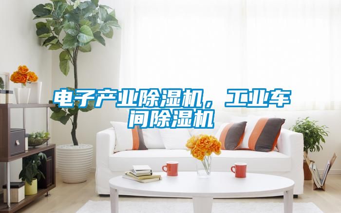 電子產(chǎn)業(yè)除濕機(jī)，工業(yè)車間除濕機(jī)