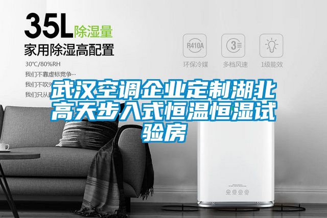 武漢空調(diào)企業(yè)定制湖北高天步入式恒溫恒濕試驗(yàn)房