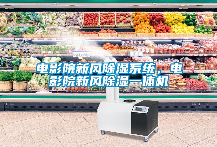 電影院新風(fēng)除濕系統(tǒng)，電影院新風(fēng)除濕一體機(jī)