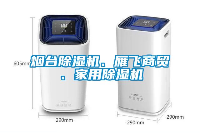 煙臺除濕機、雁飛商貿(mào)、家用除濕機