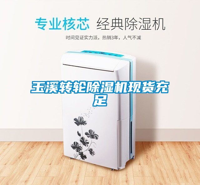 玉溪轉(zhuǎn)輪除濕機現(xiàn)貨充足