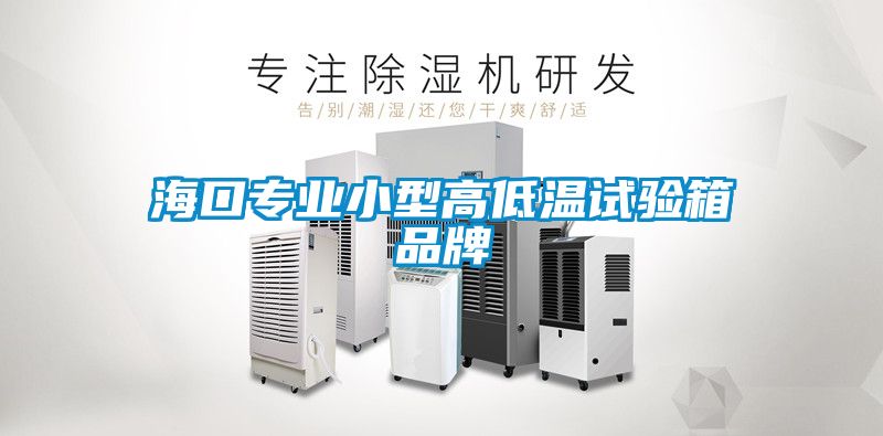 ?？趯?zhuān)業(yè)小型高低溫試驗(yàn)箱品牌