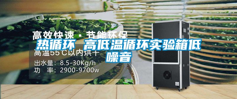熱循環(huán) 高低溫循環(huán)實(shí)驗(yàn)箱低噪音
